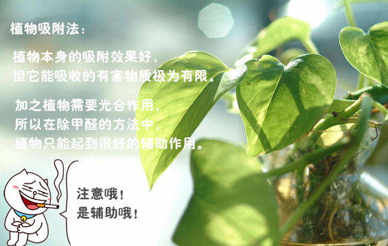 植物吸附.jpg